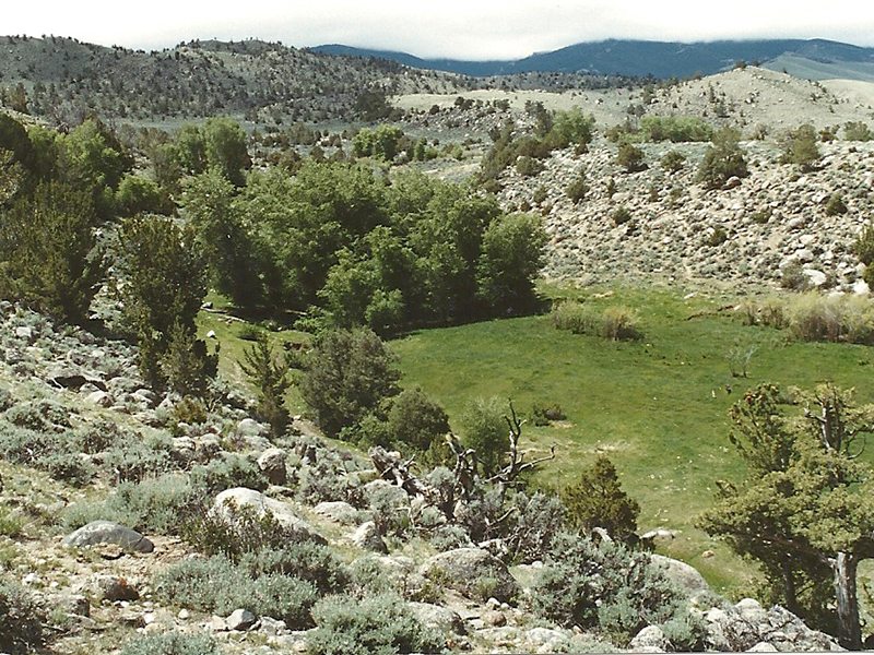 Whiskey Mountain Ranch Dubois, WY
