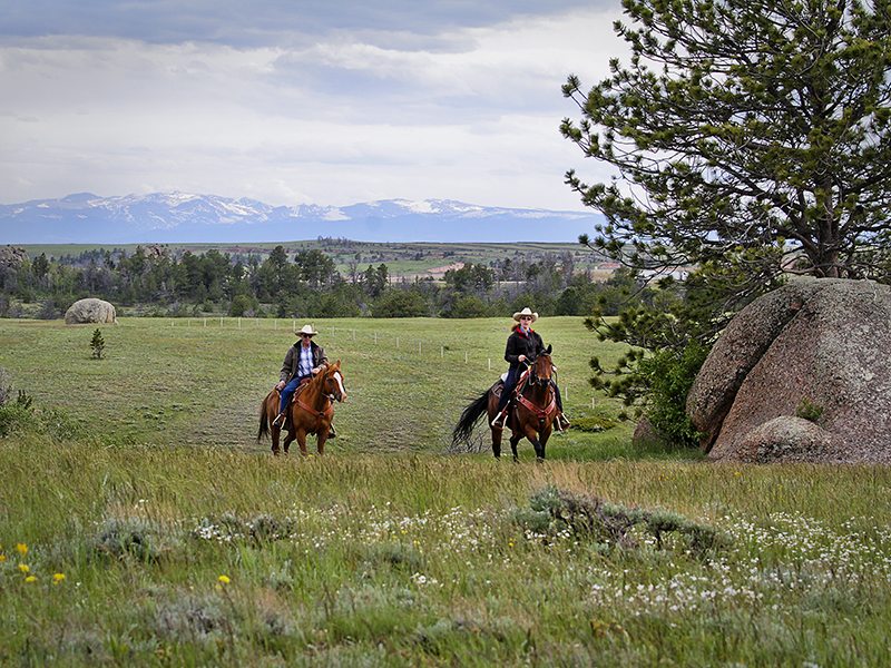 Windsong Ranch Buford, WY