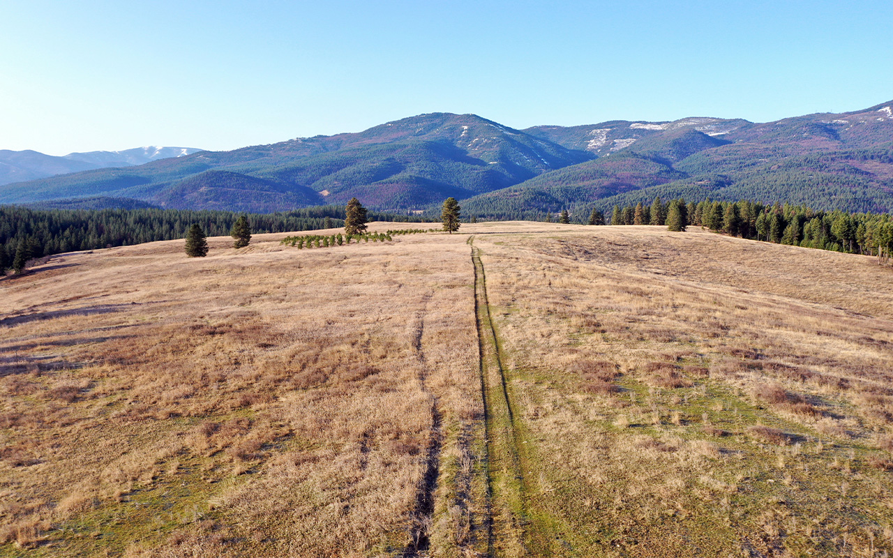 Big Sky Ranch at Nine Mile Huson, Montana