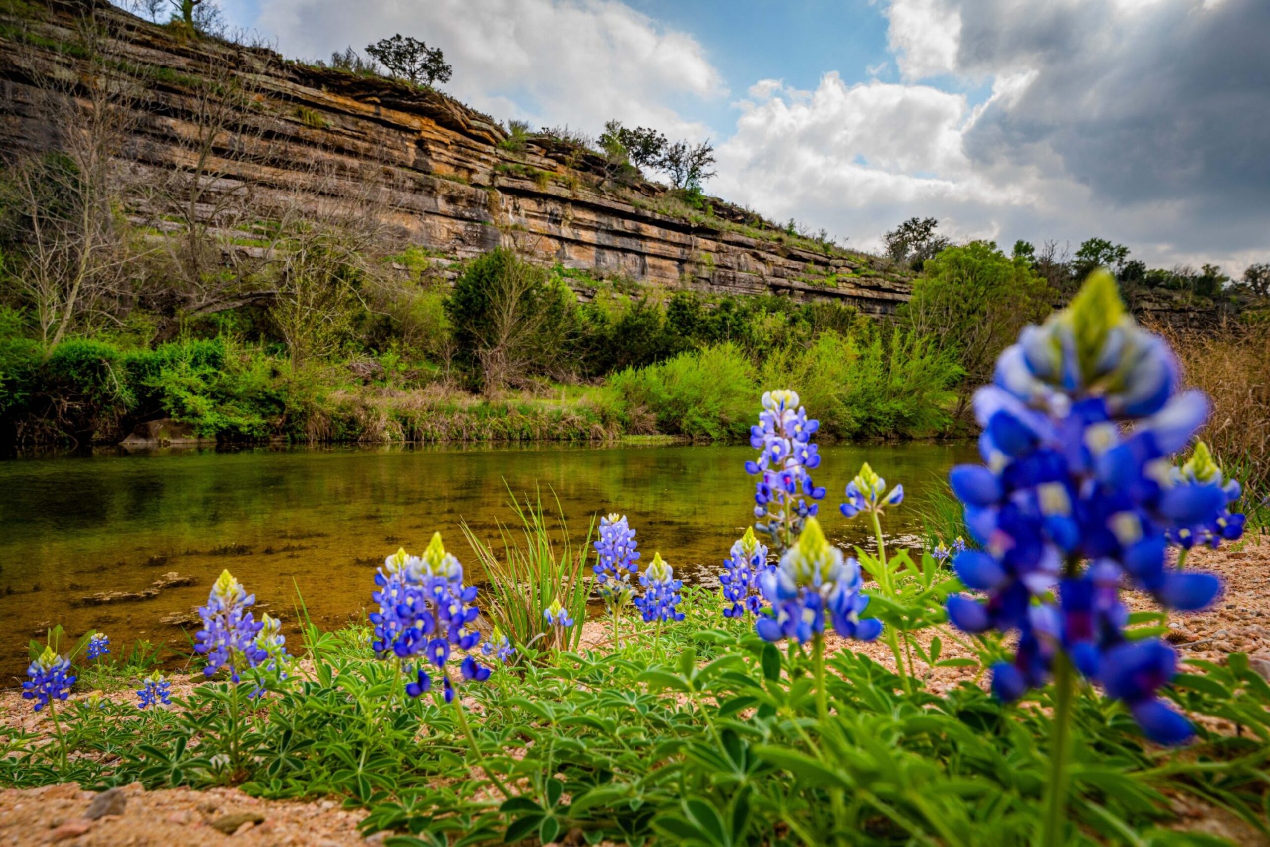 Bluff Creek Ranch Blanco, Texas