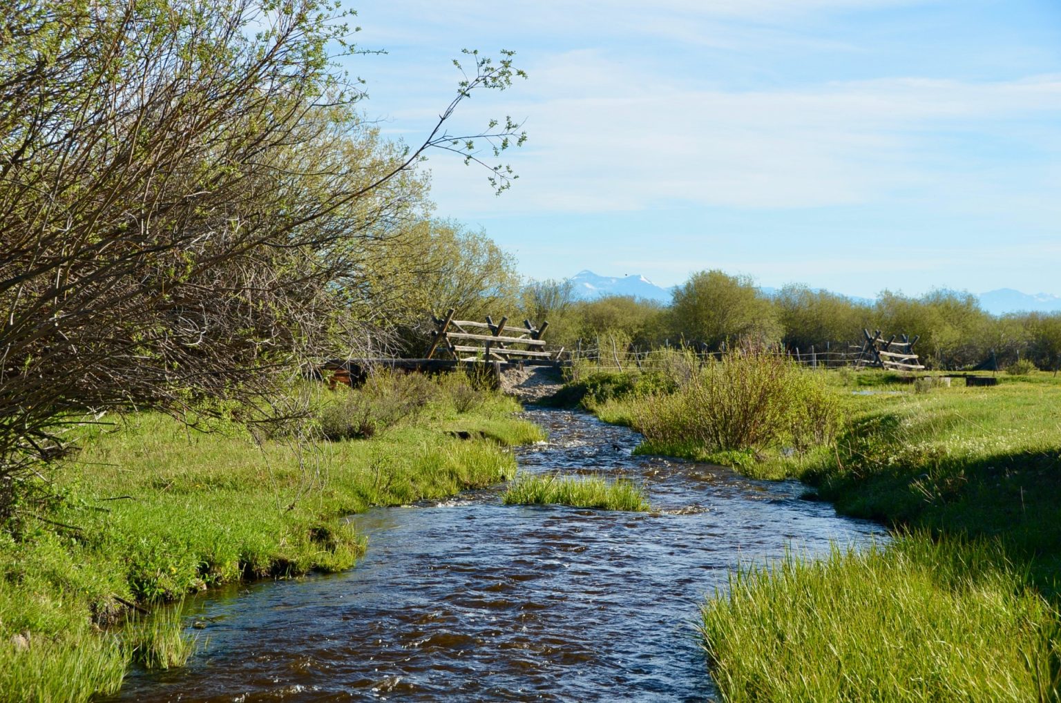Chief Joseph Ranch - Live Water Properties - Montana Ranches for Sale