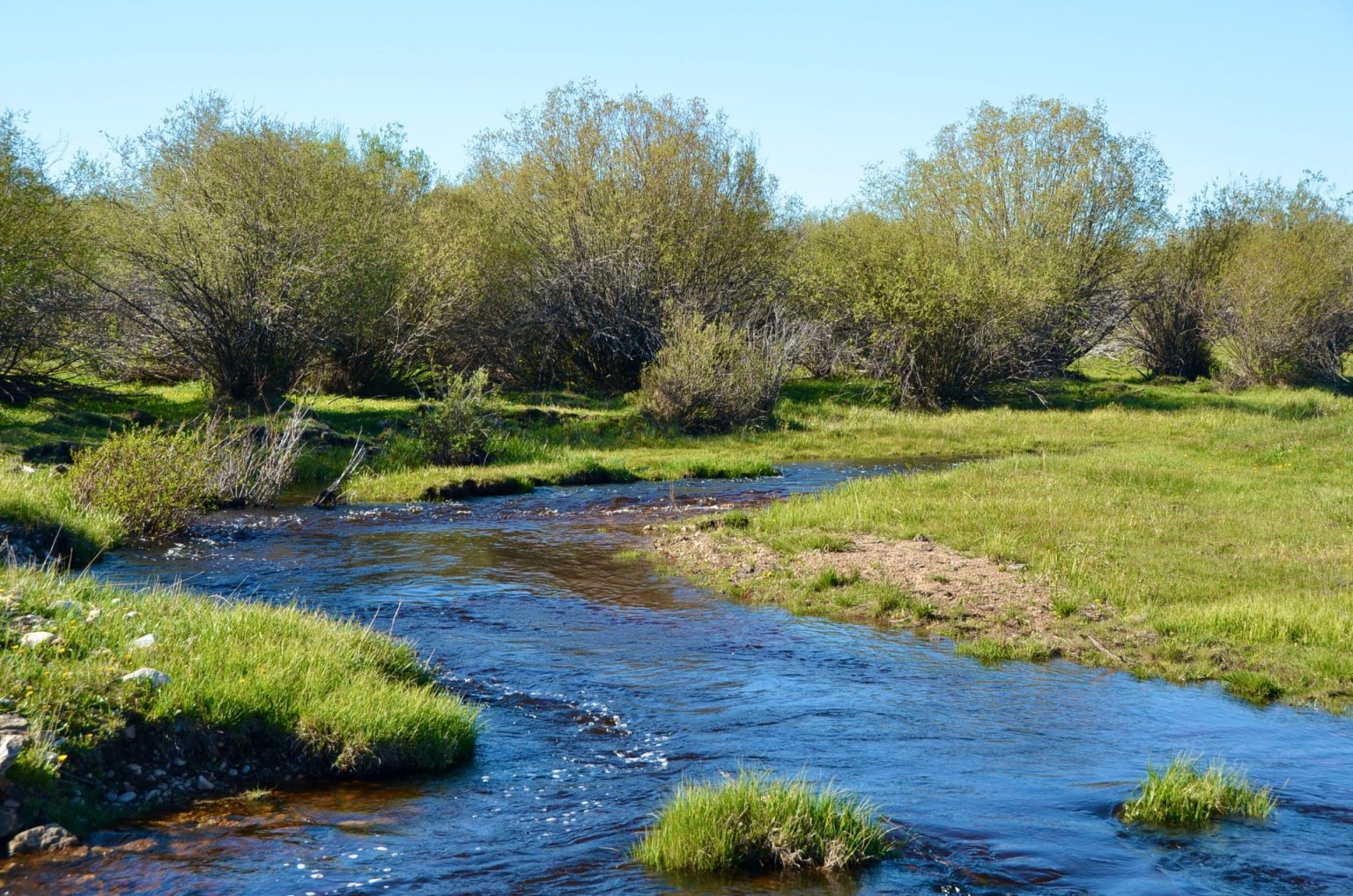 Chief Joseph Ranch - Live Water Properties - Montana Ranches for Sale