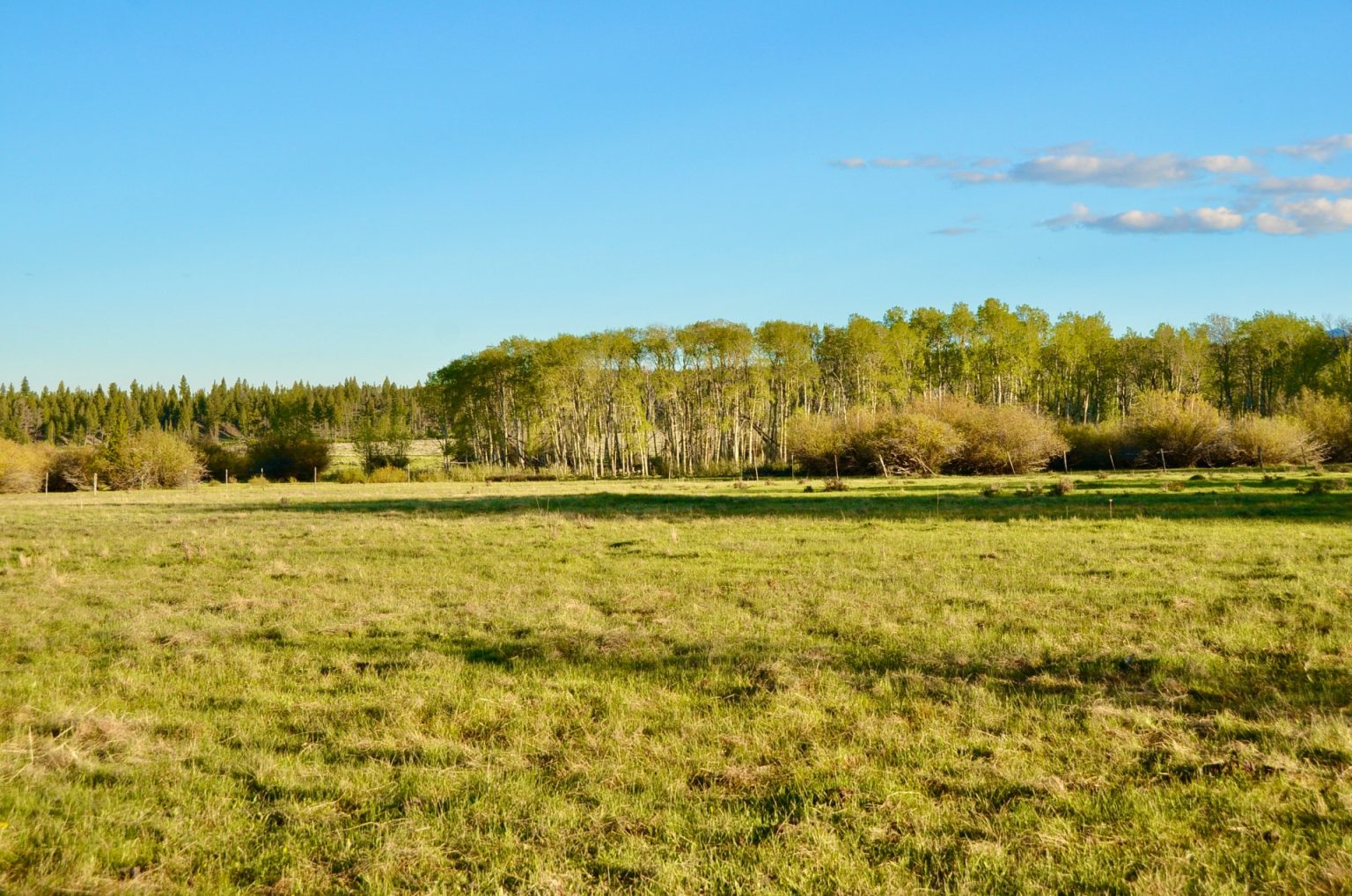 Chief Joseph Ranch - Live Water Properties - Montana Ranches for Sale