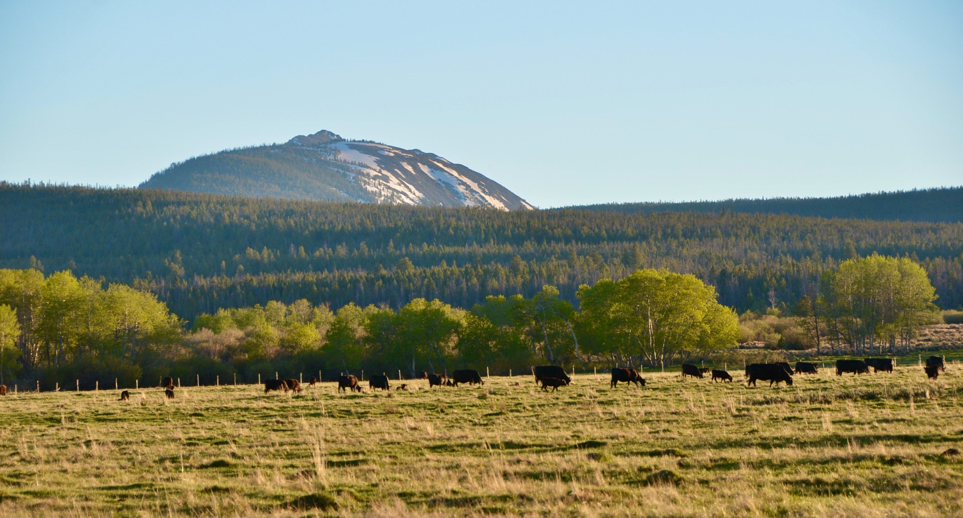 Chief Joseph Cattle Ranch Wisdom, Montana