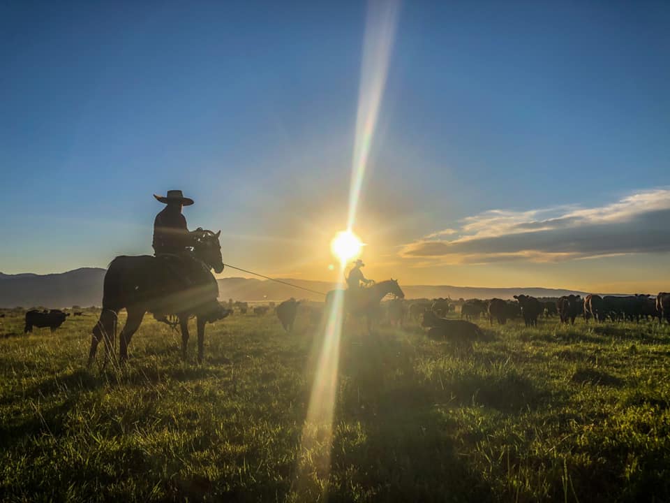  Crowfoot J Ranch Victor, Idaho 