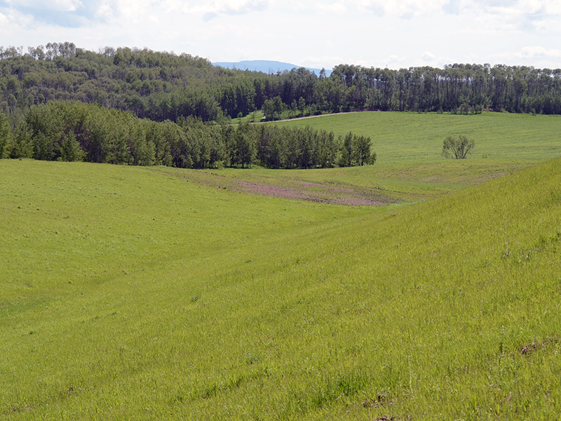 Dry Creek Farm Ashton, Idaho
