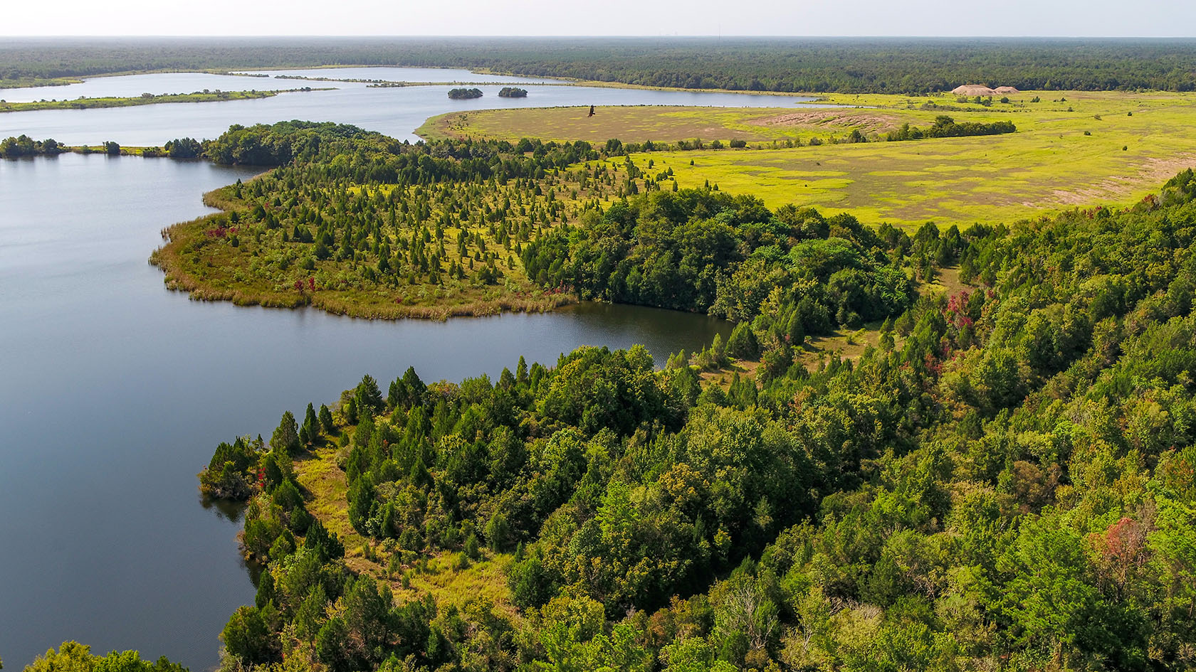Florida Rock Quarry Gulf Hammock, Florida