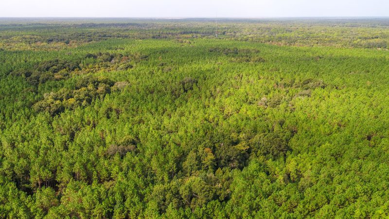 Evaluating a Land Investment