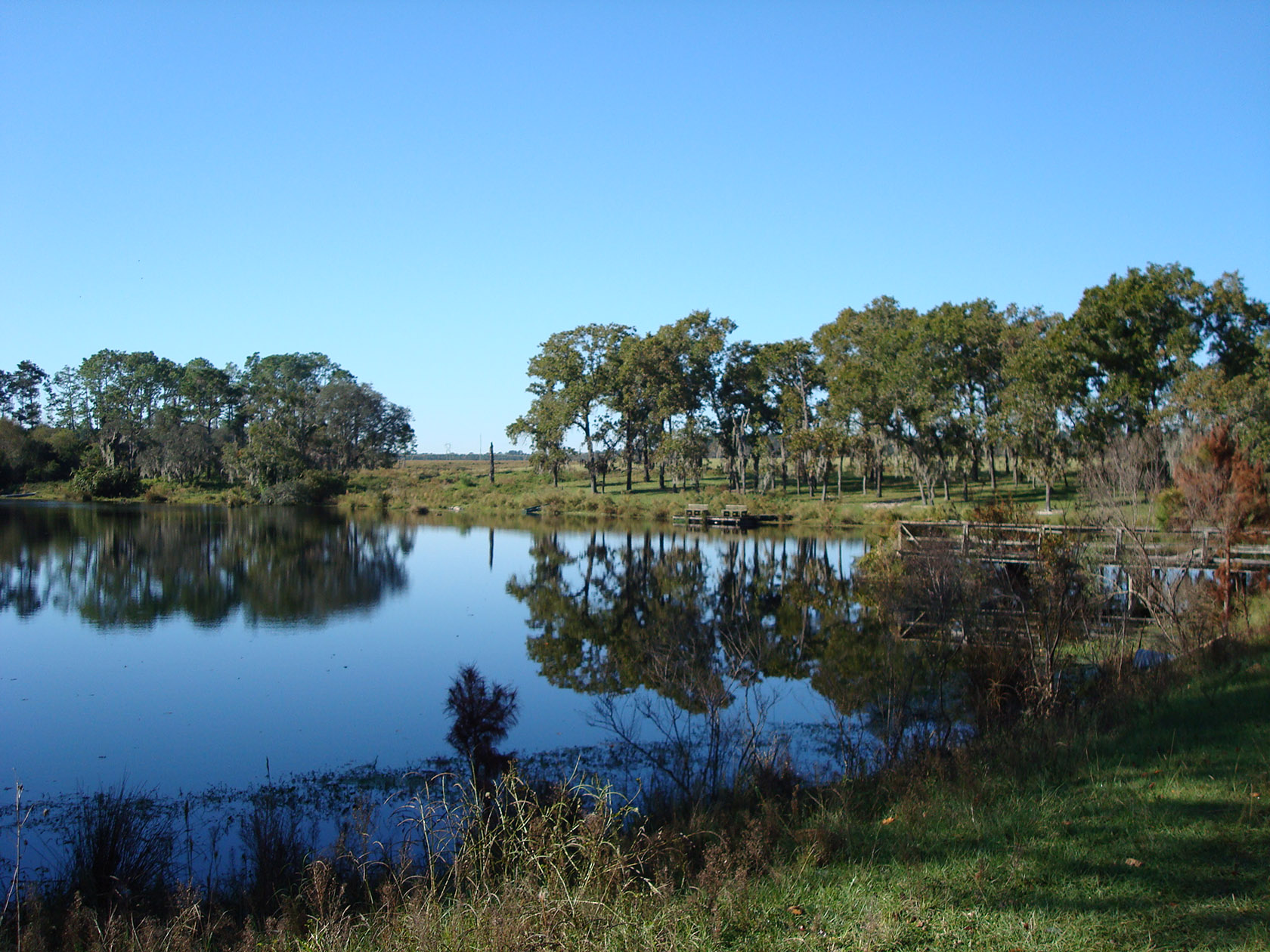 Gustafson Ranch Green Cove Springs, Florida
