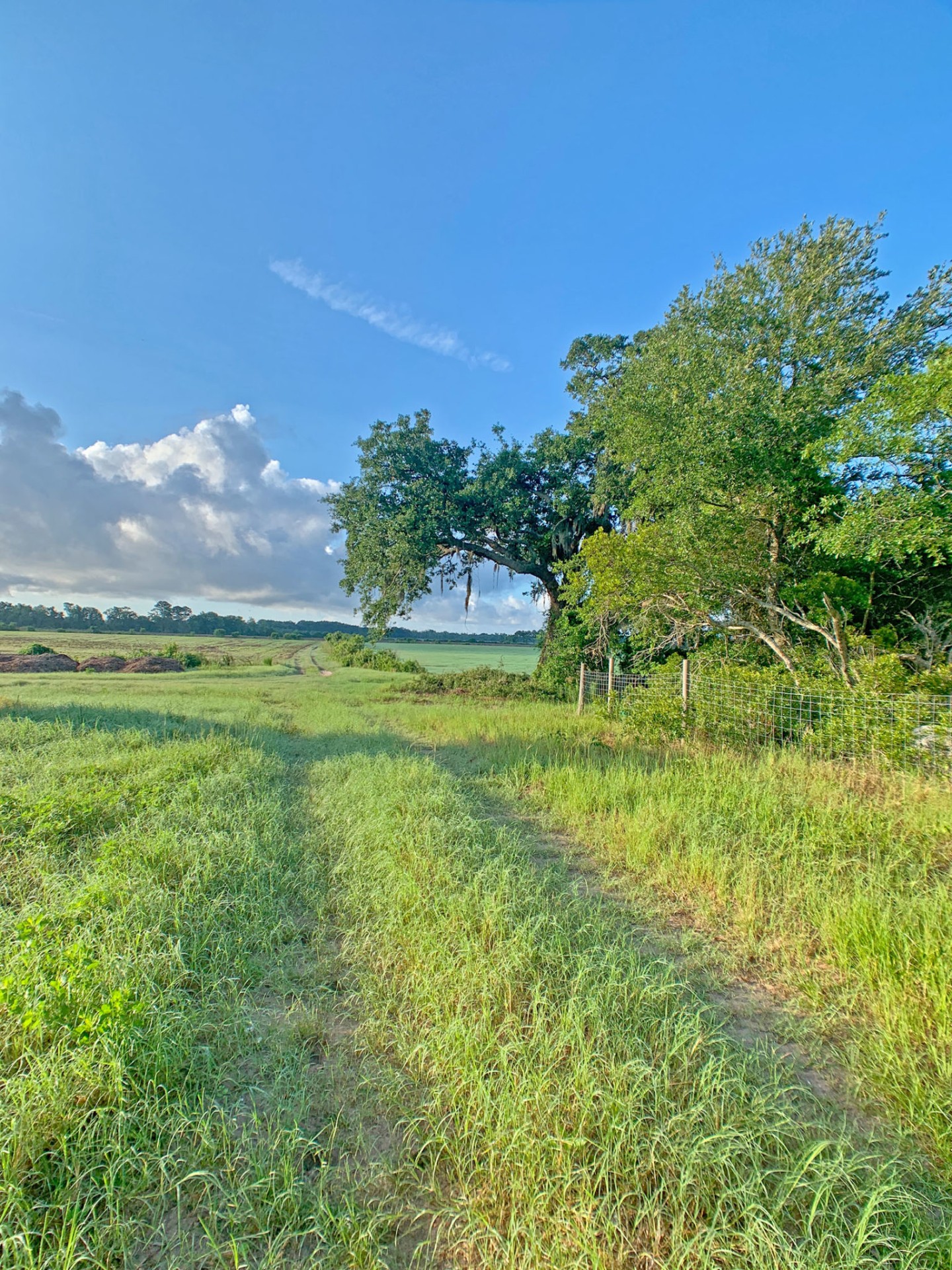  Henry Farms Saint Helena Island, South Carolina