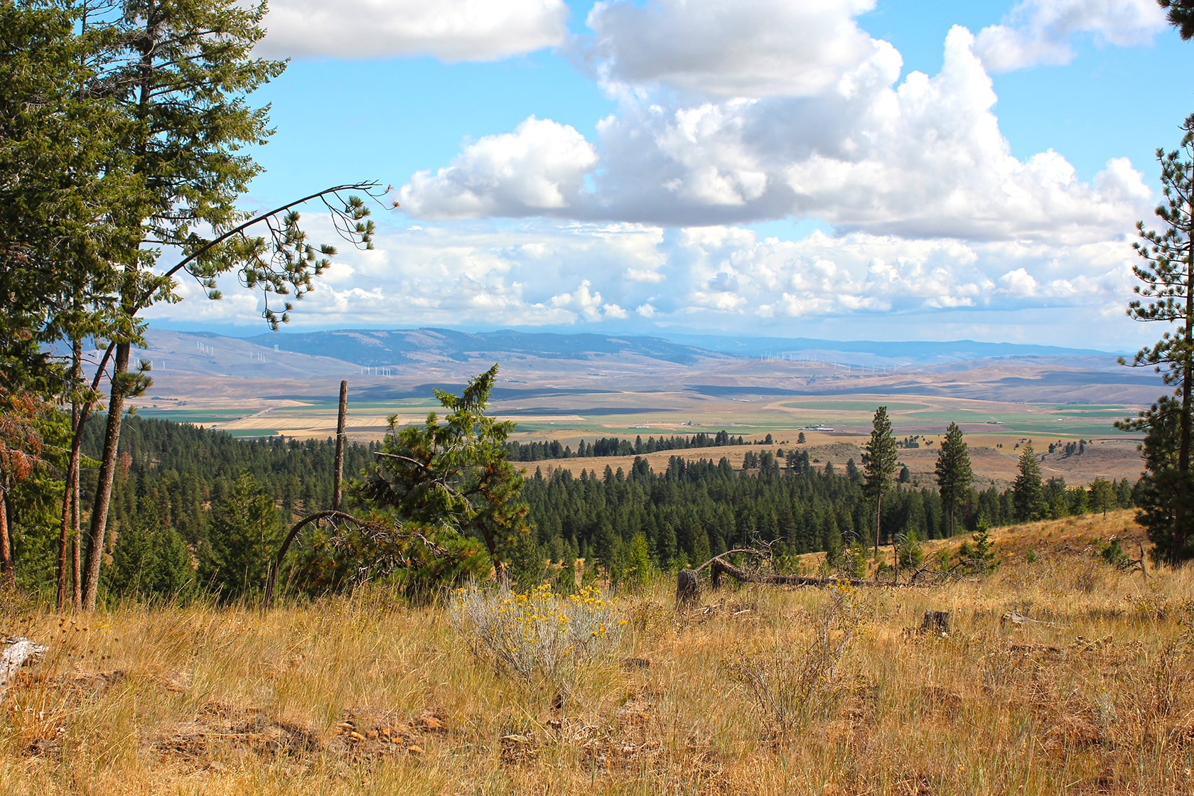 Hidden Valley Horse Ranch North Powder, Oregon