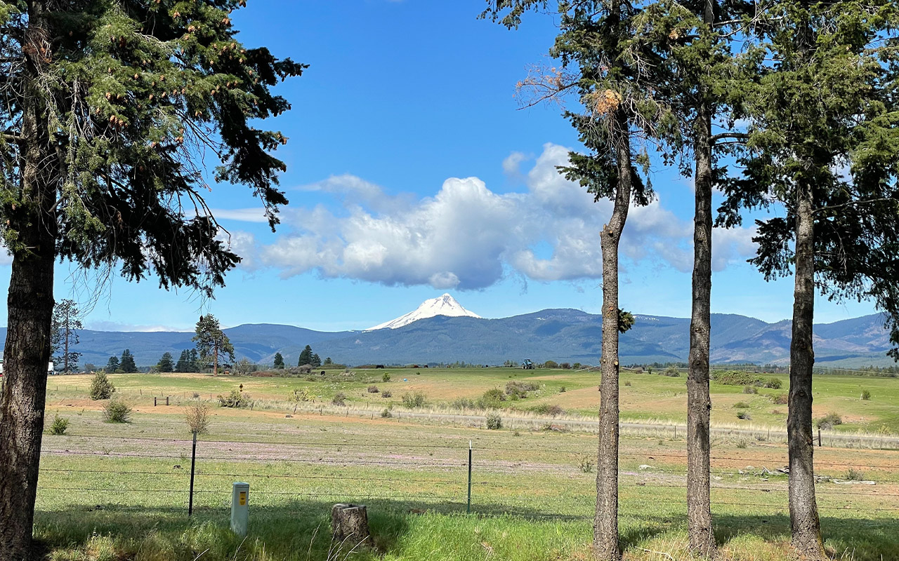 Featured Properties
