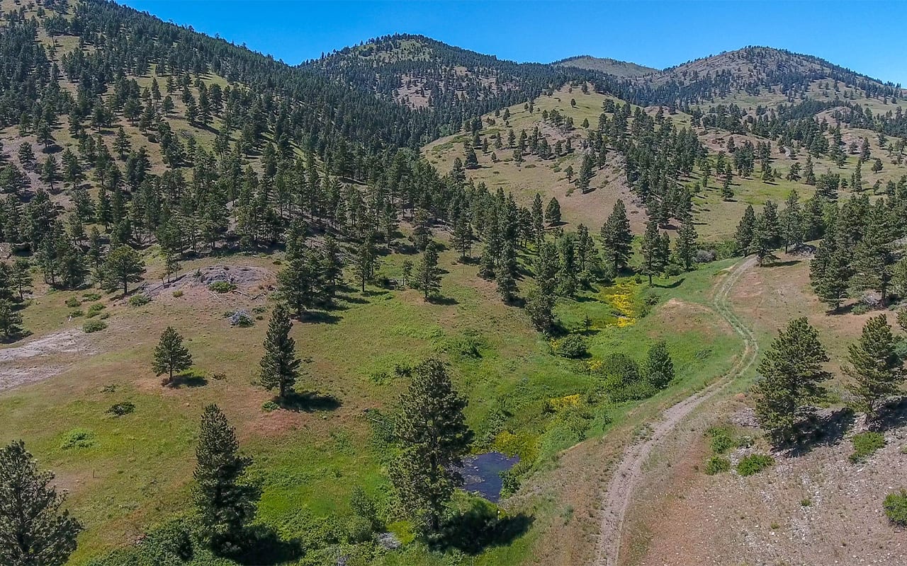 Little Wolf Creek Ranch Wolf Creek, Montana