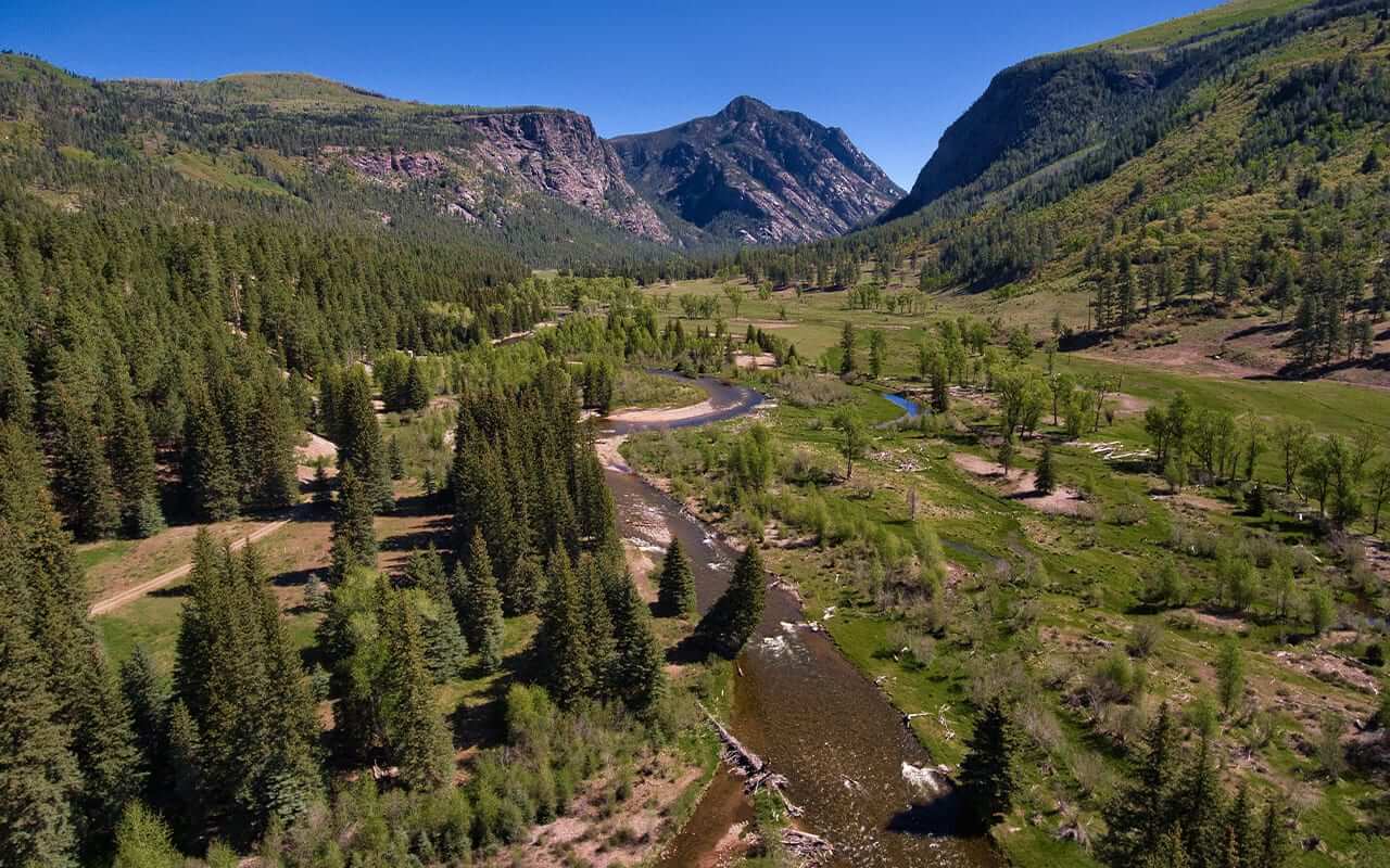 Featured Properties