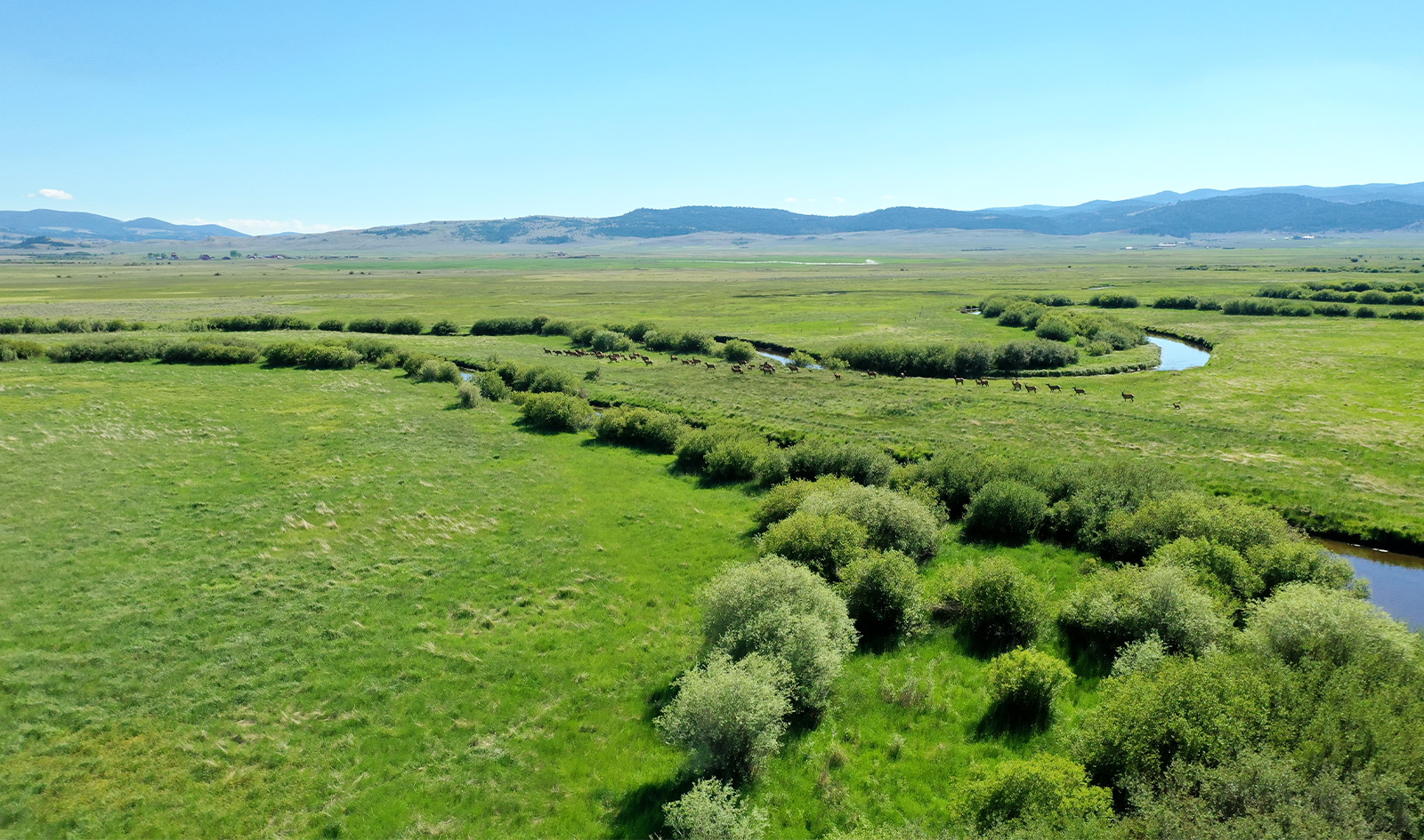 Nevada Spring Creek Ranch Helmville, Montana