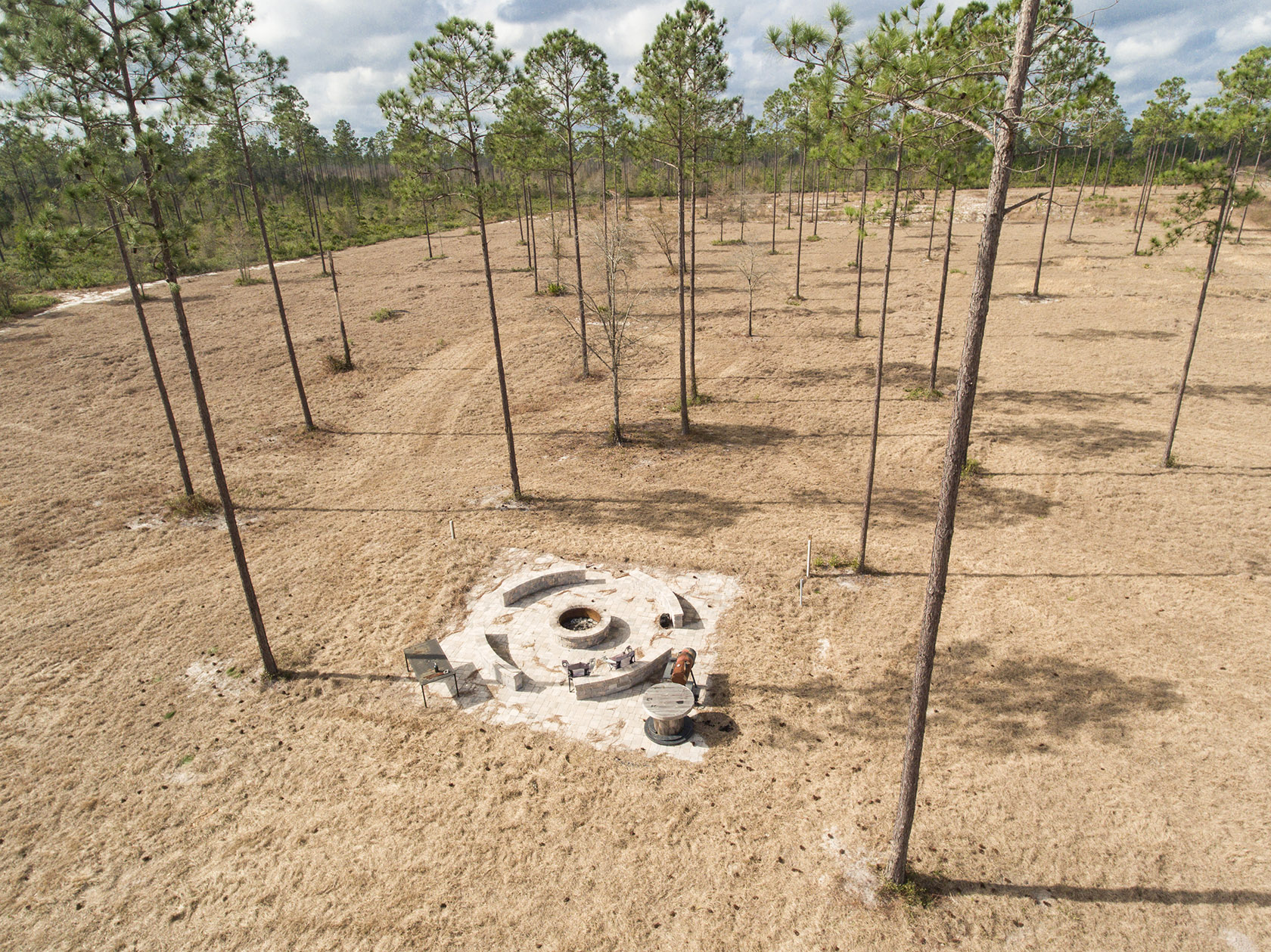 Okefenokee Timberland Folkston, Georgia