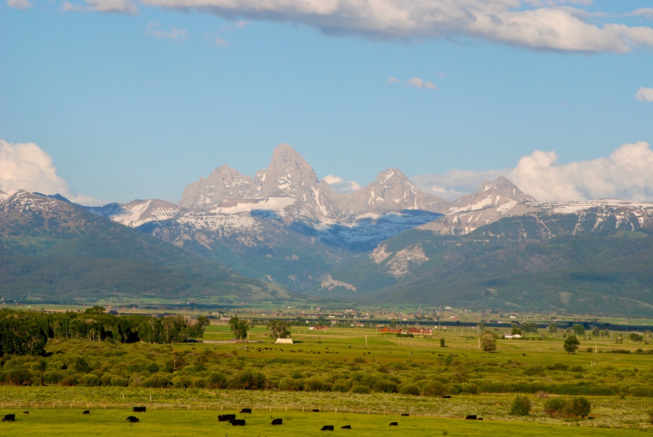  Packsaddle Creek Ranch Driggs, Idaho