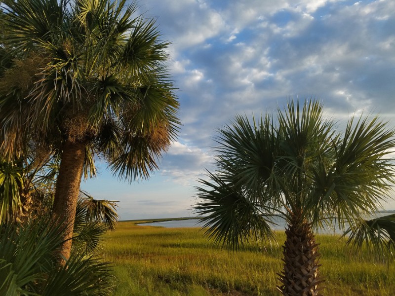 Live Water Southern brings Buyer to Georgia’s iconic Cabin Bluff