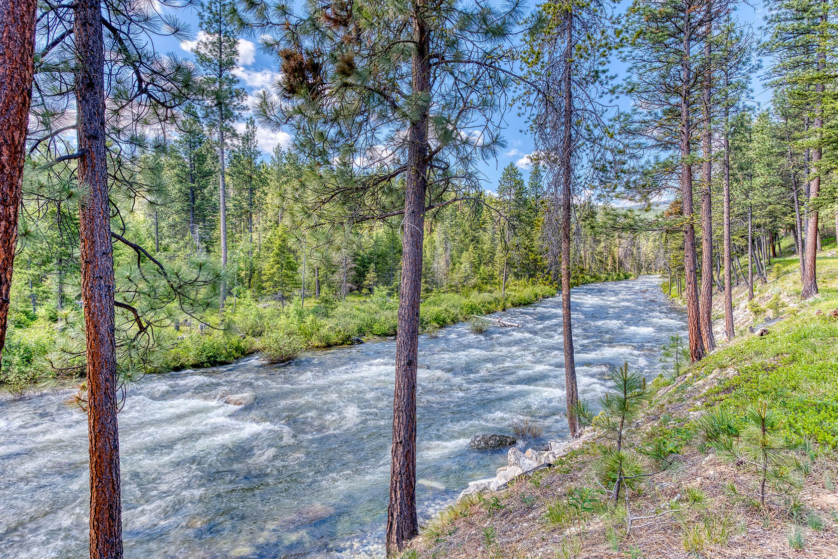 Reverie Lodge on Lost Horse Creek Hamilton, Montana