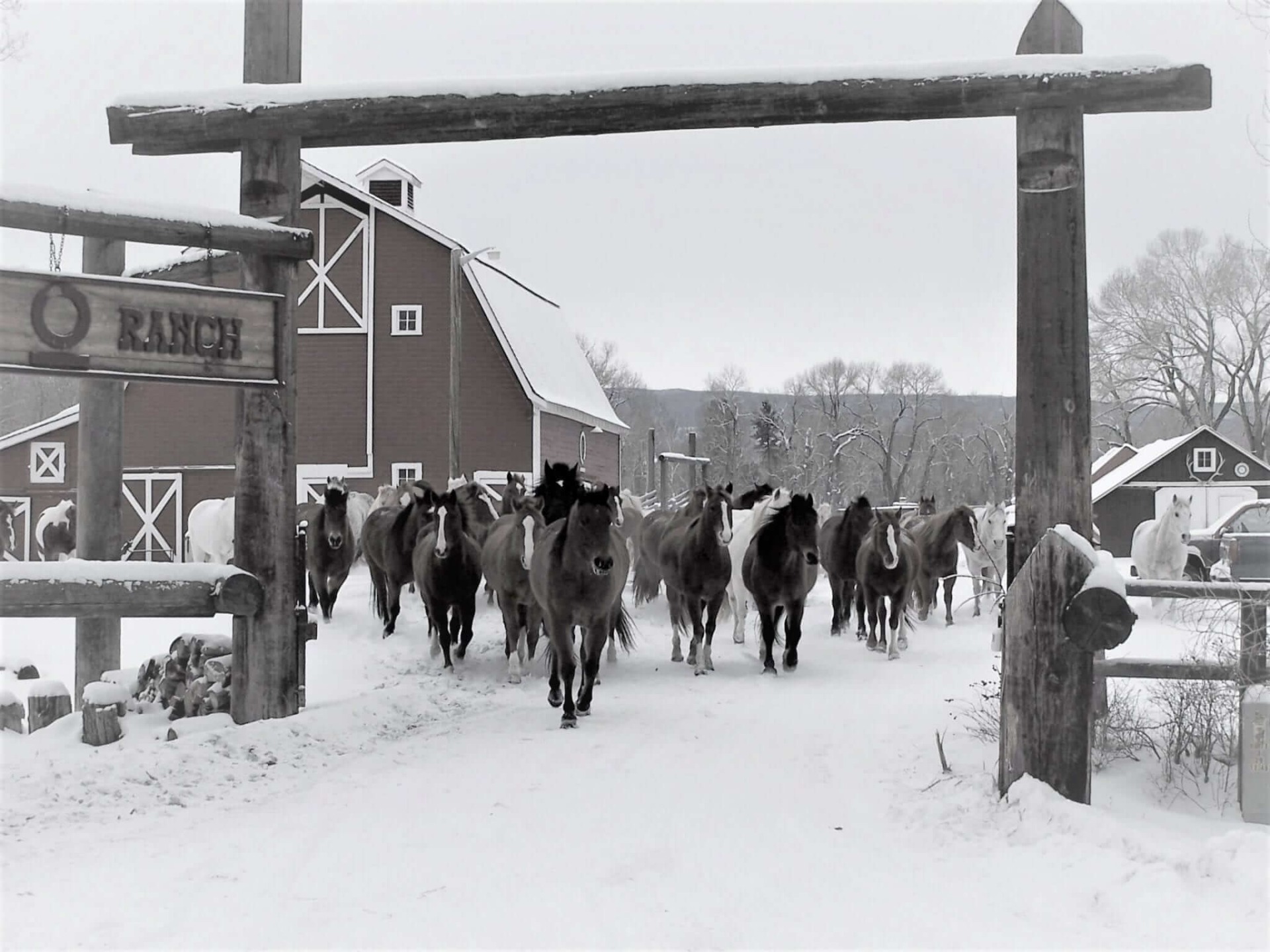 The Historic Circle Bar Guest Ranch Hobson, Montana