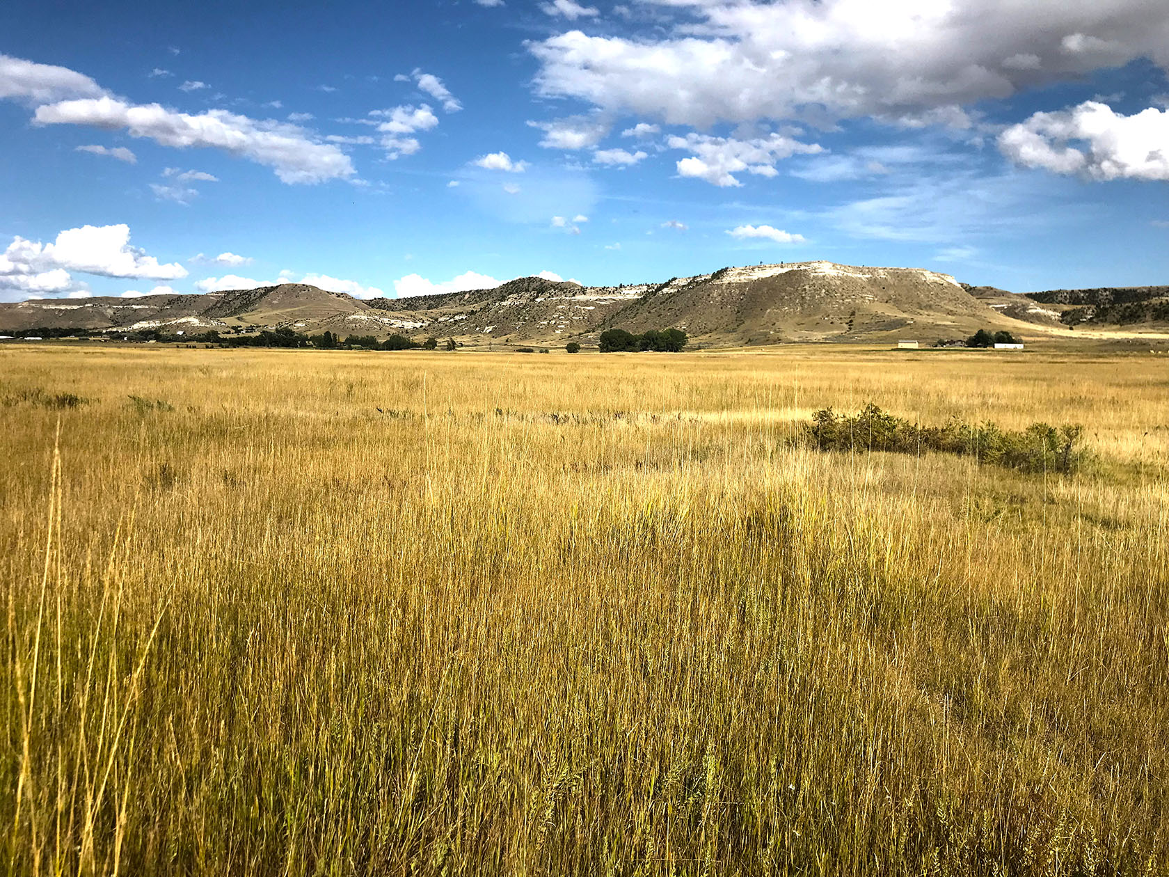 Warm Springs at Buffalo Jump Three Forks, Montana 