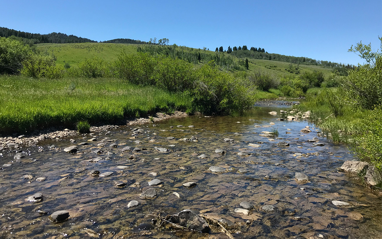 West Fork Madison River Homesteads West Yellowstone, Montana