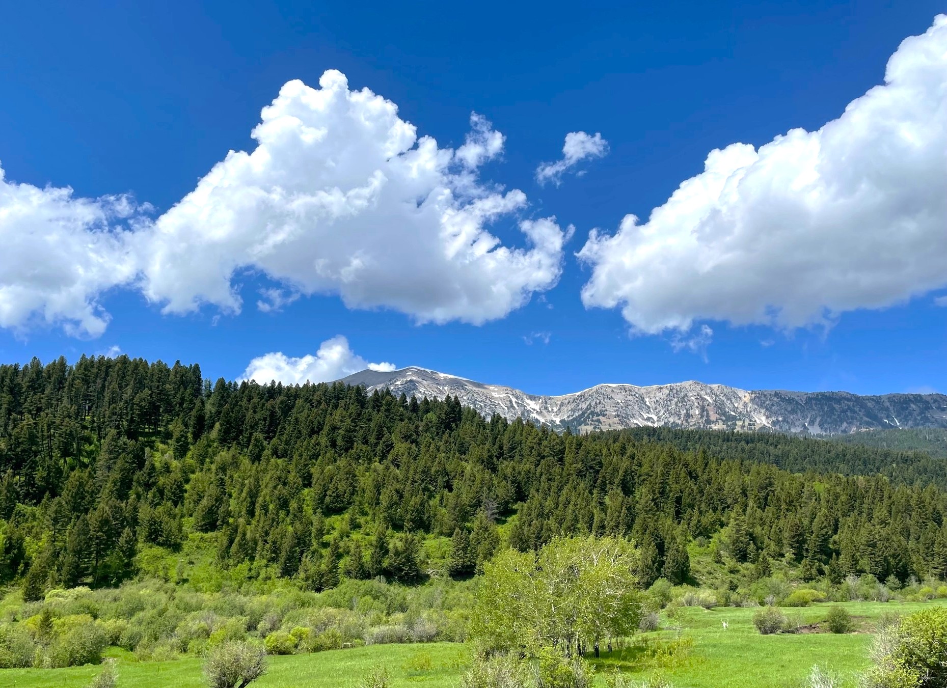 Featured Properties