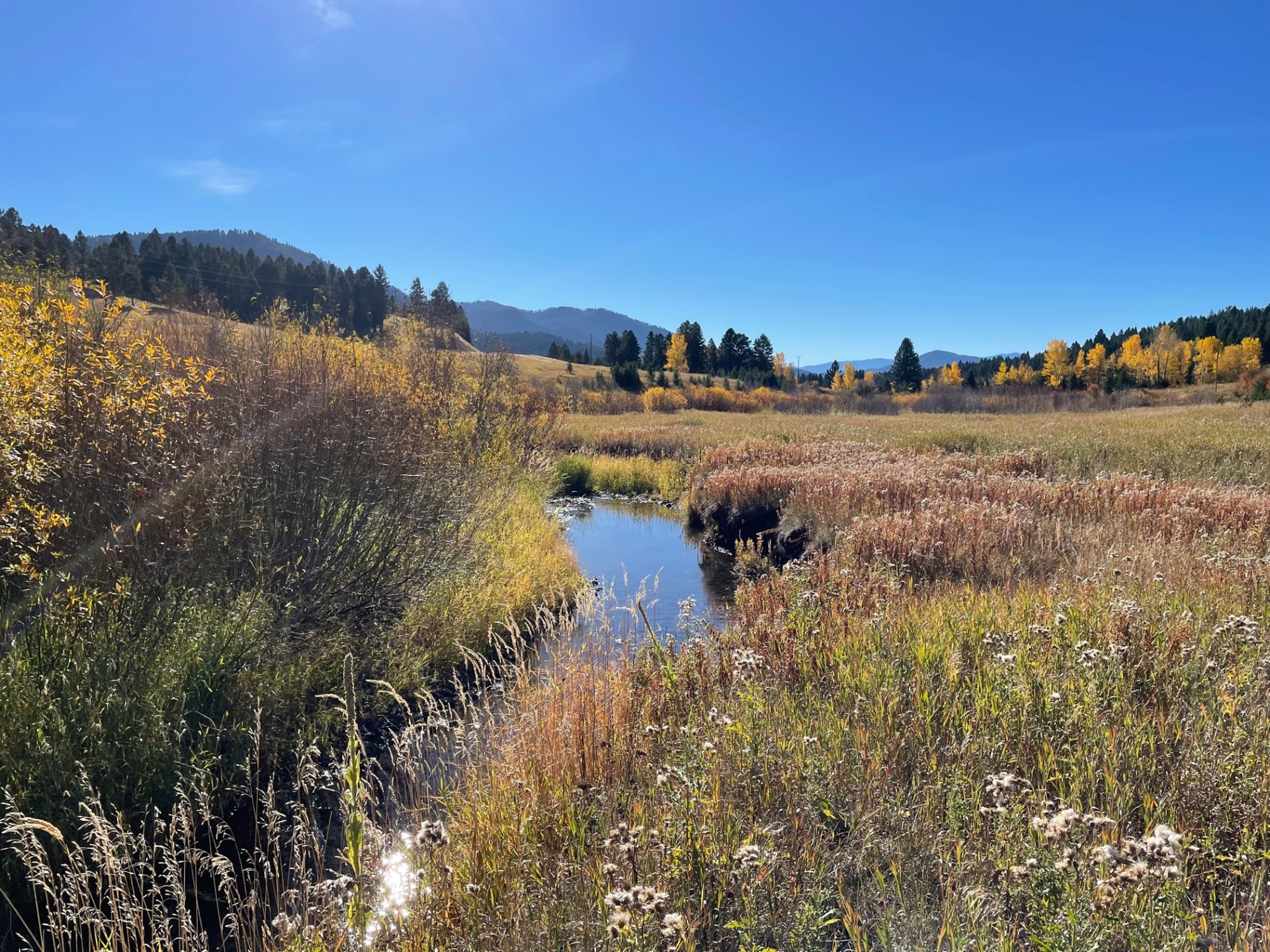  Bridger Creek Gem Bozeman, Montana