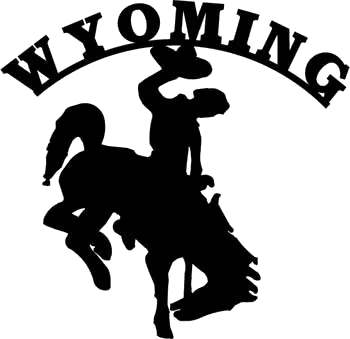 WY-Cowboy