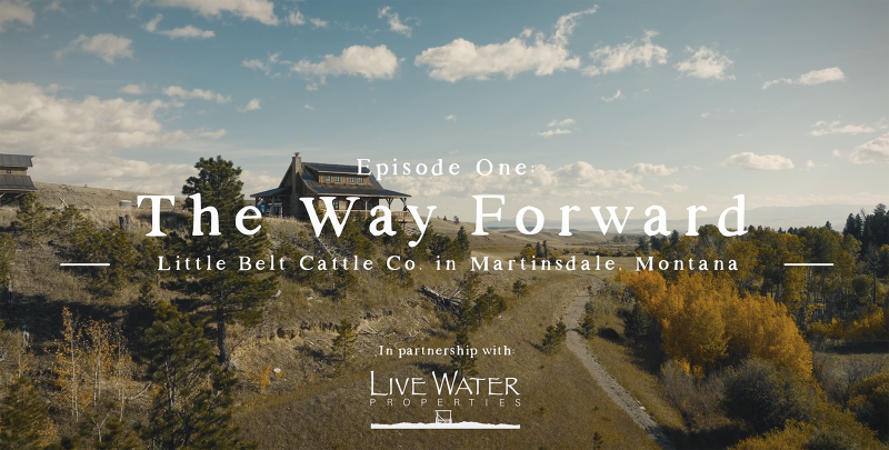 The Little Belt Cattle Company – Starting a Cattle Ranch by Combining Three Properties