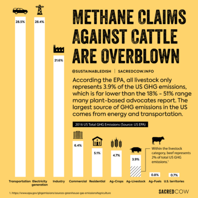 Sacred Cow Infographic - Beef and Methane