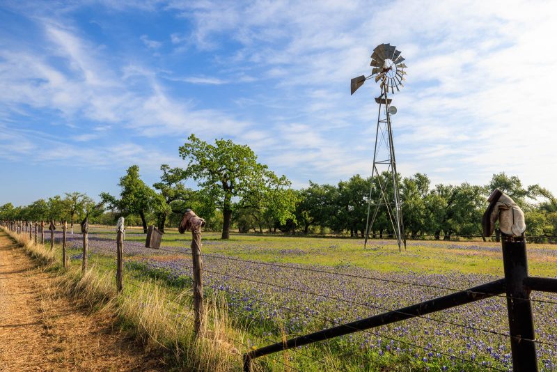 Insider’s Guide: How to Buy a Texas Ranch?