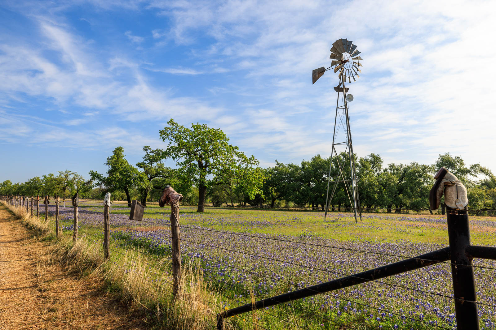 Insider’s Guide: So, You Want to Buy a Texas Ranch?