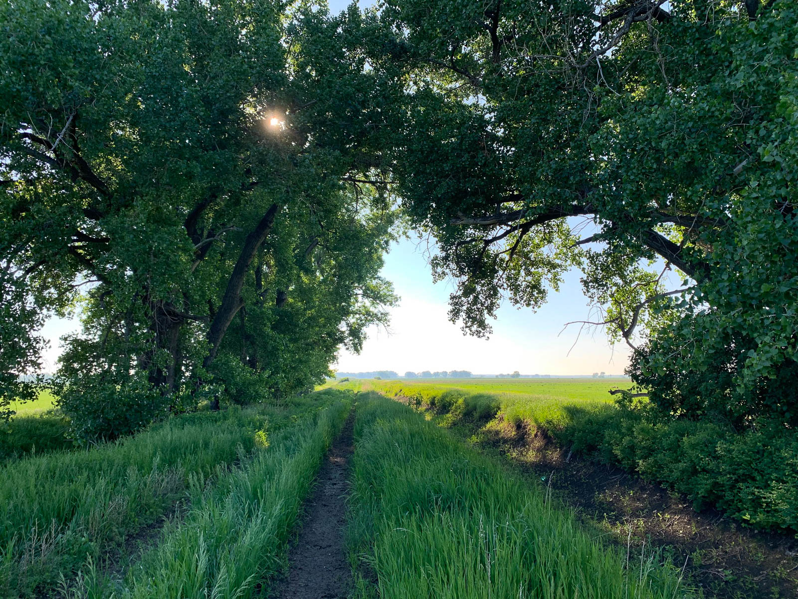Farm for sale in Montana