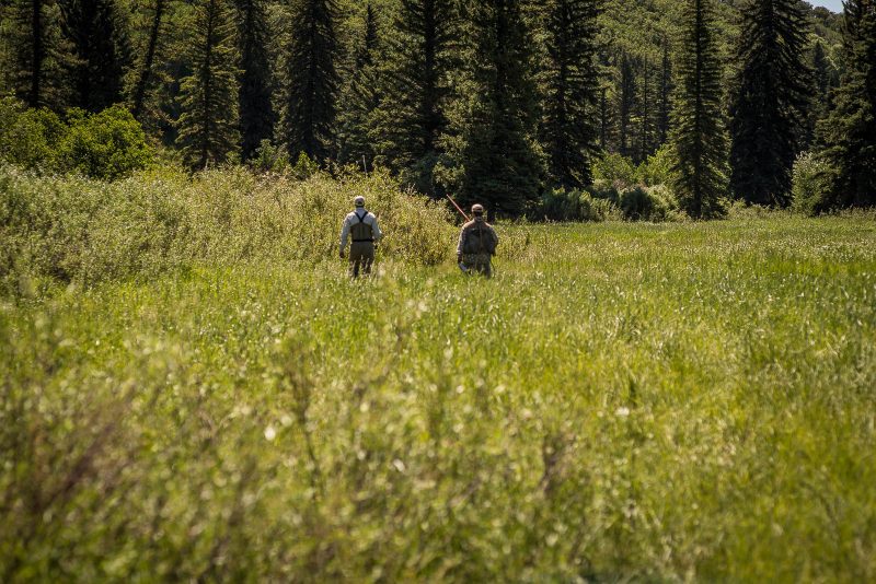 Navigating Ranch Real Estate: Why You Need a Buyer’s Agent When Buying a Ranch