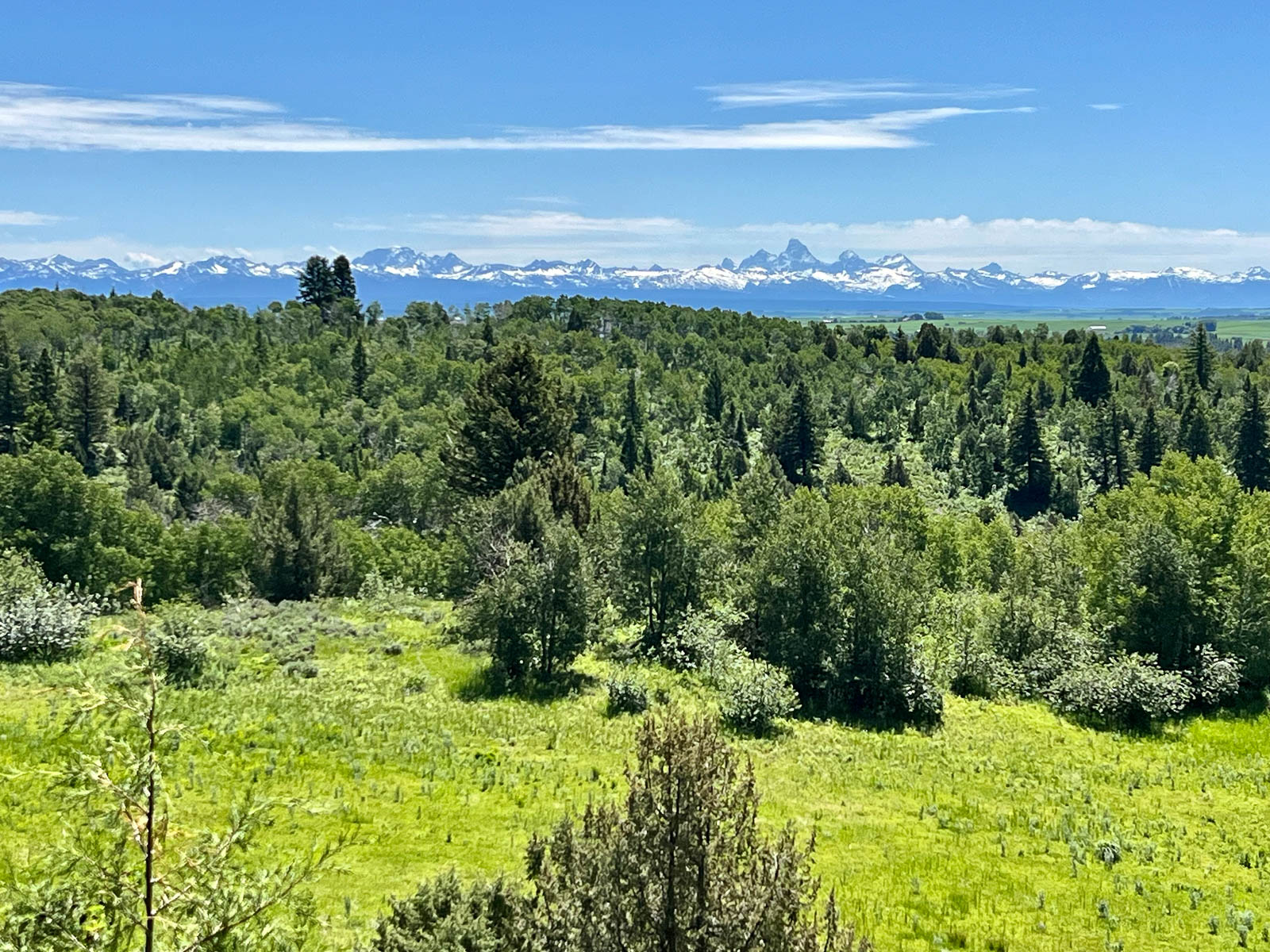 Featured Properties