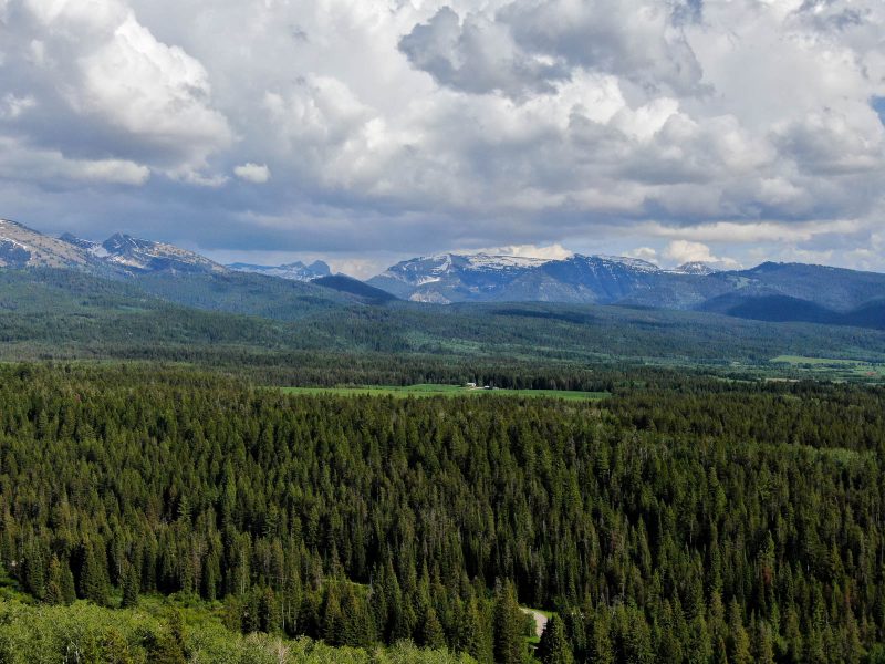 North Leigh Creek Ranch for Sale in Alta, Wyoming