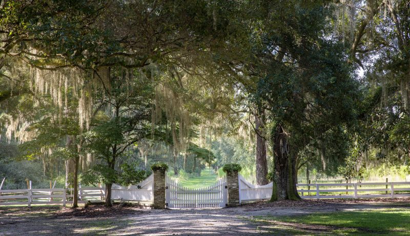 Live Water Properties Welcomes Bill Calton and Jon Callaghan to Southern Team