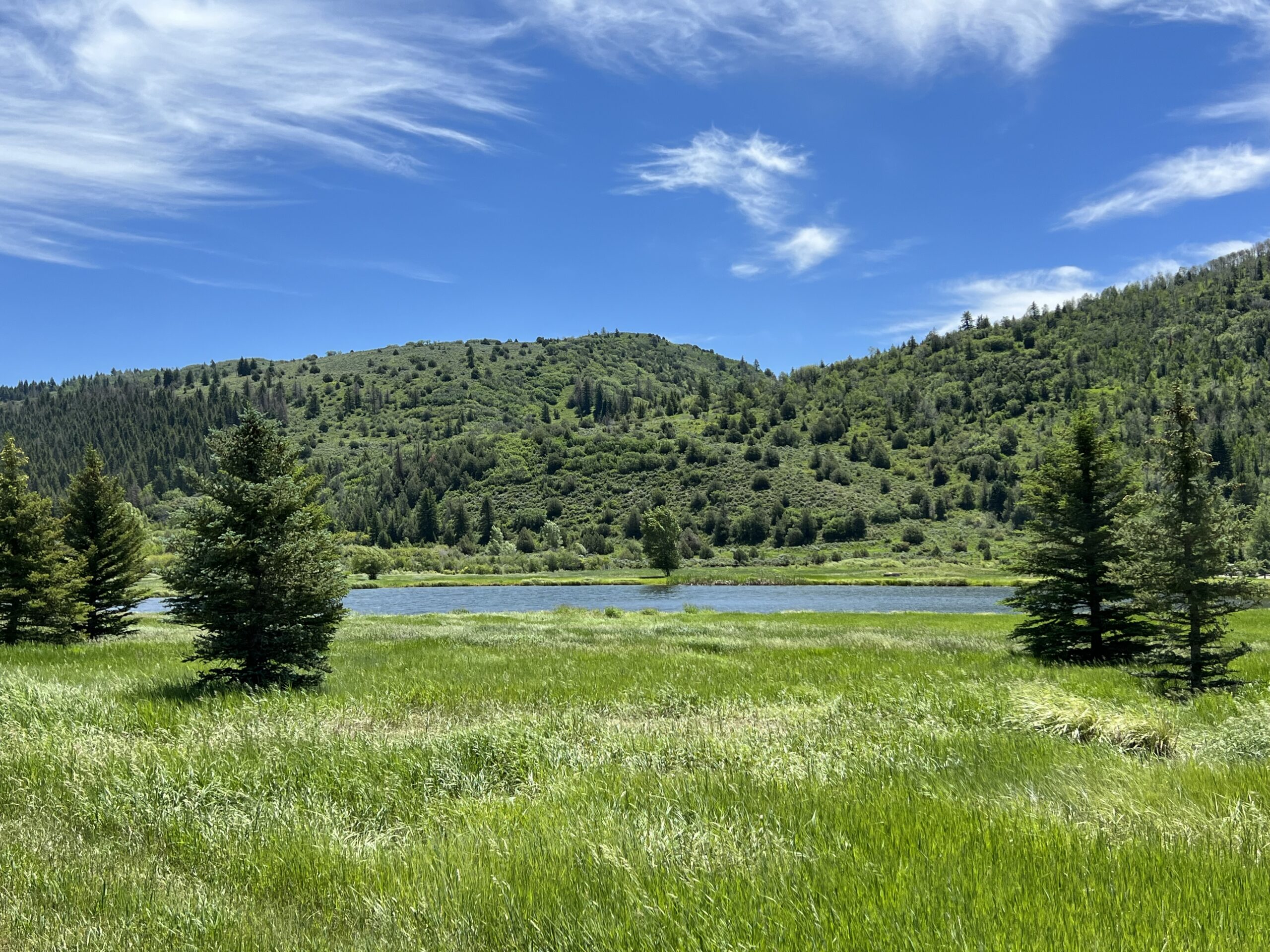 Featured Properties