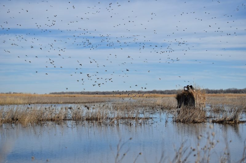 2023 Annual Ranch Real Estate Market Recap – A Look Back and Forward