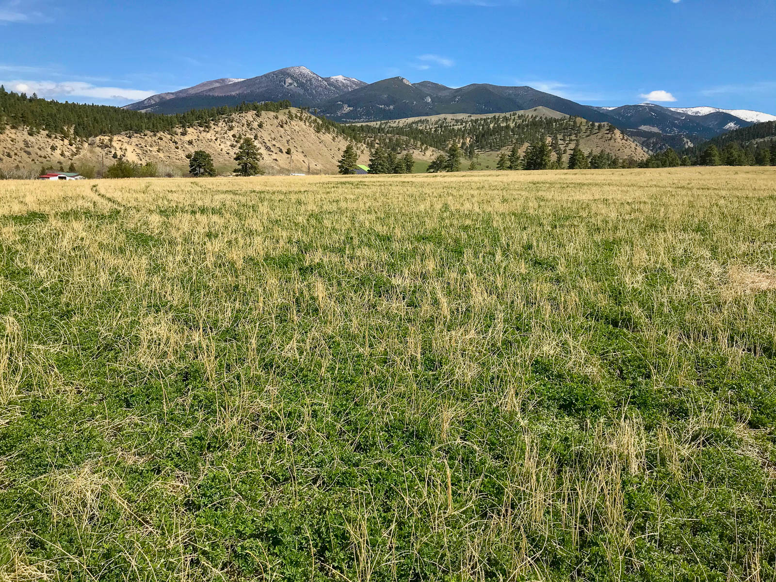 Grandview-Acreage-Townsend-Montana-Ranch4