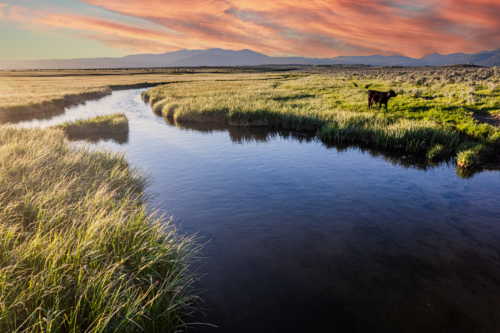 river land for sale in Idaho