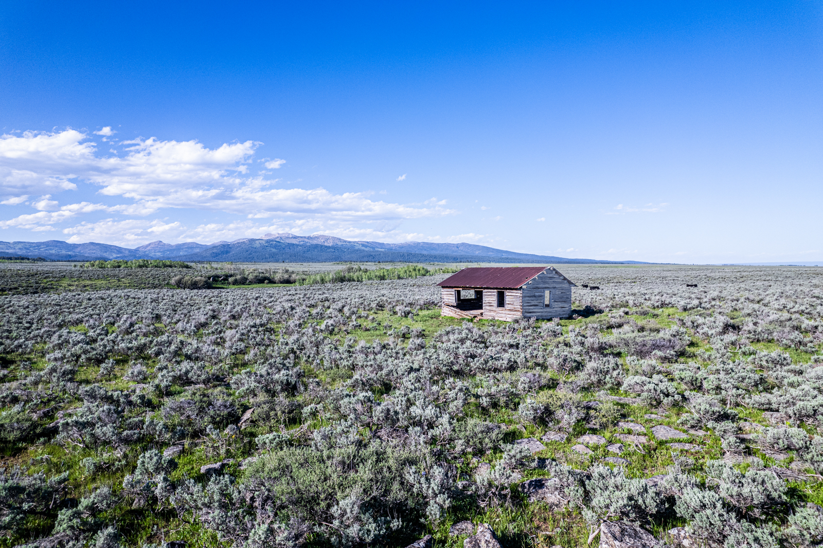 land in Idaho for sale with rustic shed