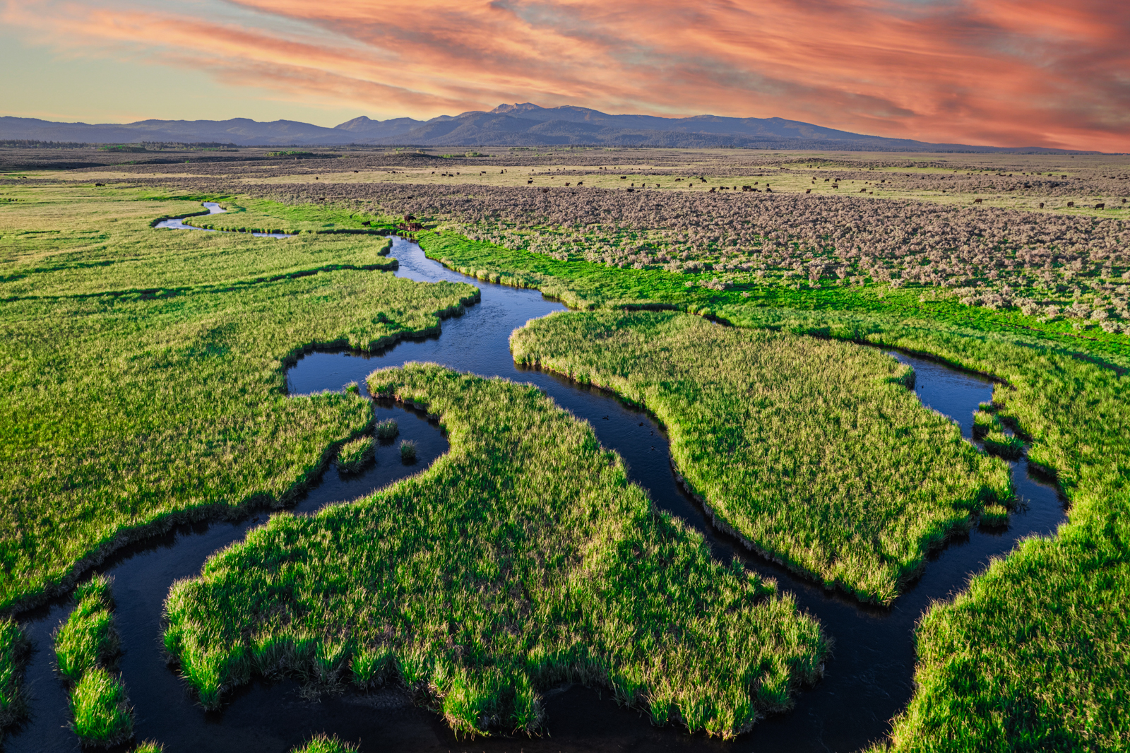 land in Idaho for sale with rivers