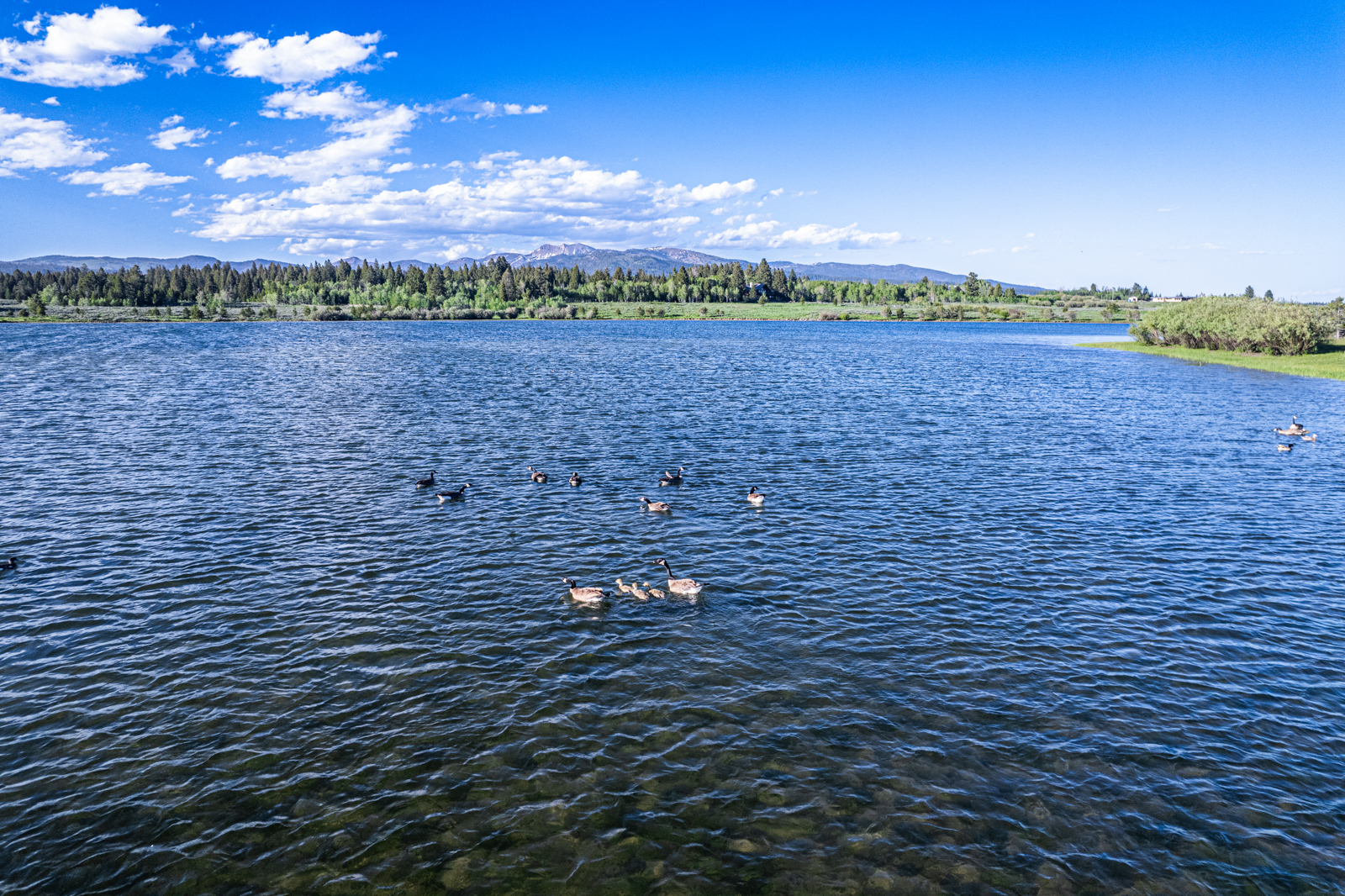 large lake in Idaho land for sale