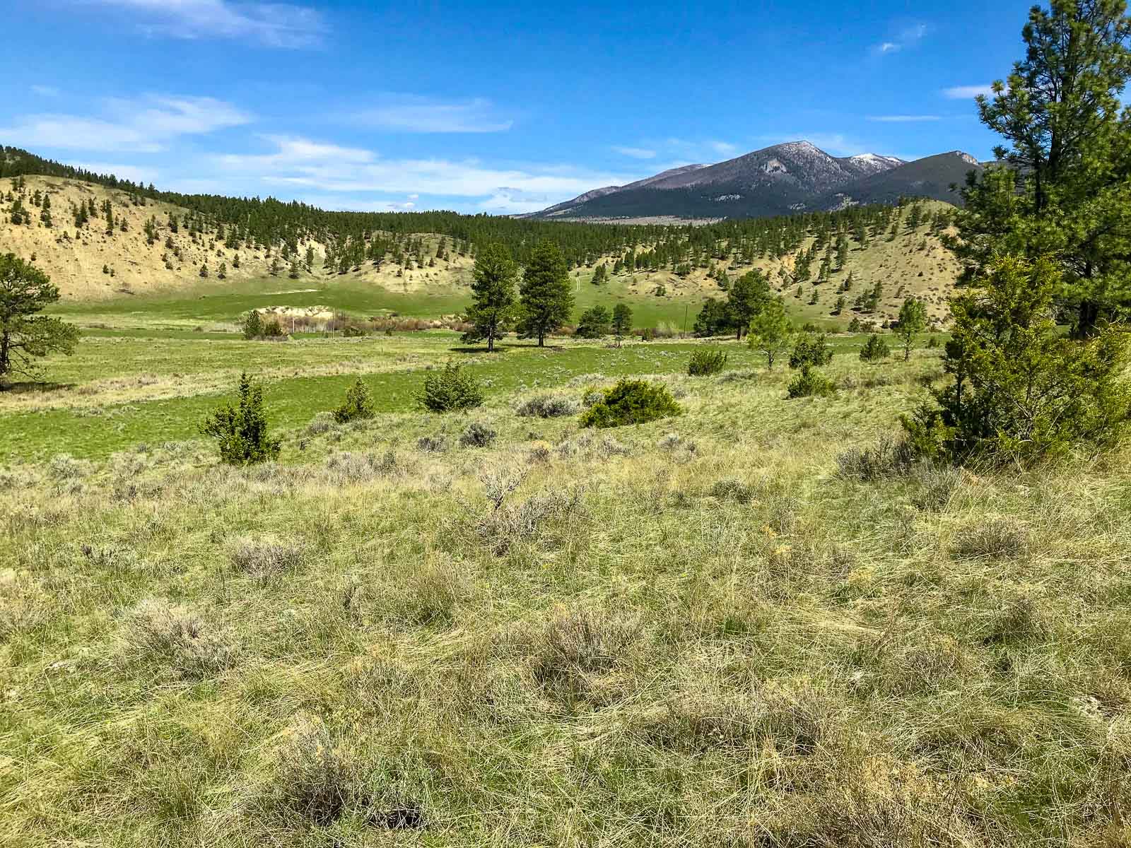 Grandview Acreage