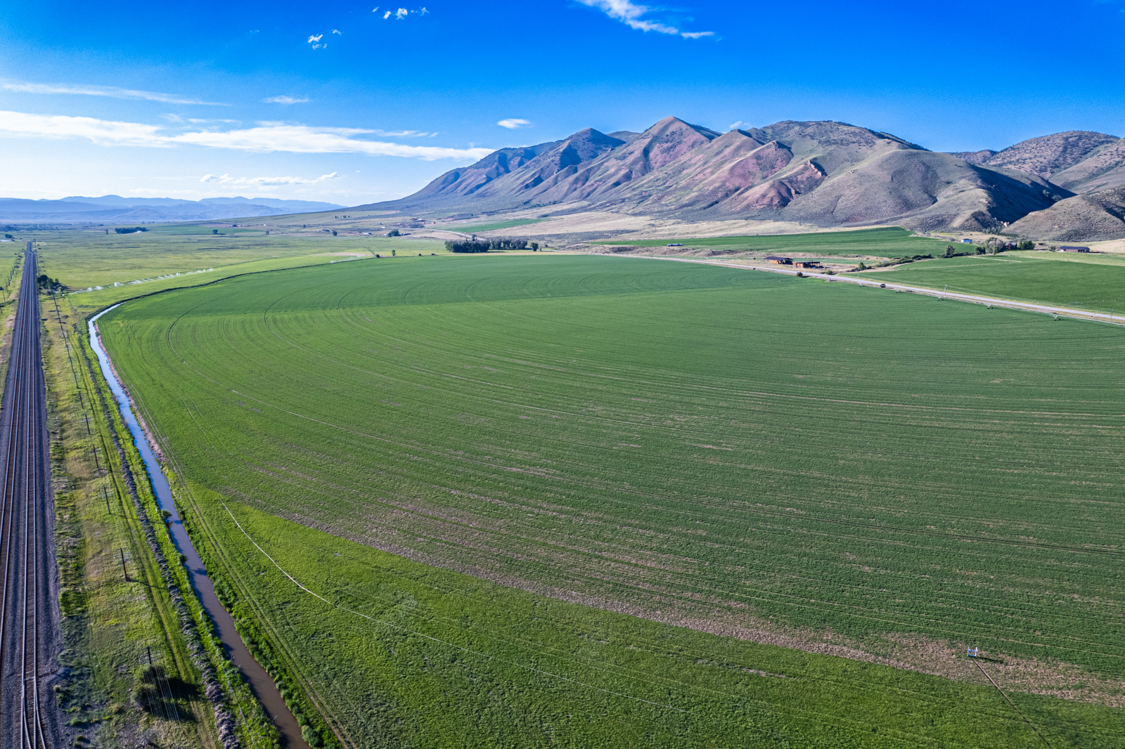 Nieslanik_Ranch_Cokeville_WY_hay_field(2)