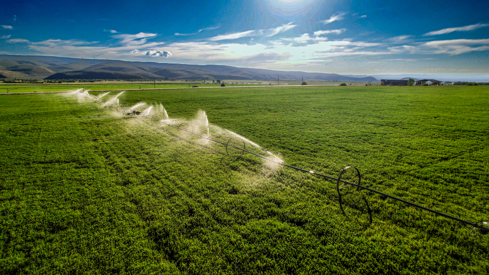 Nieslanik_Ranch_Cokeville_WY_irrigated_field