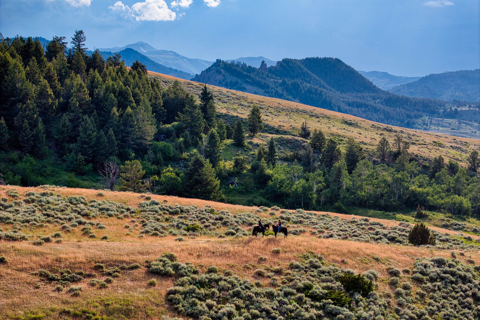 Wyoming ranch for sale landscape