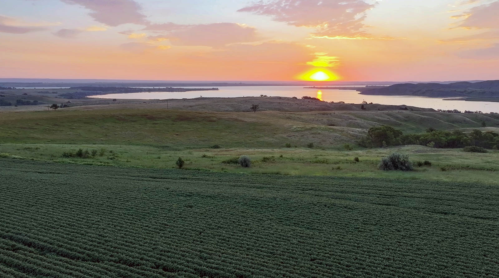 Lake_Sharpe_Ranch_SouthDakota_riverfront_farm_land(2)